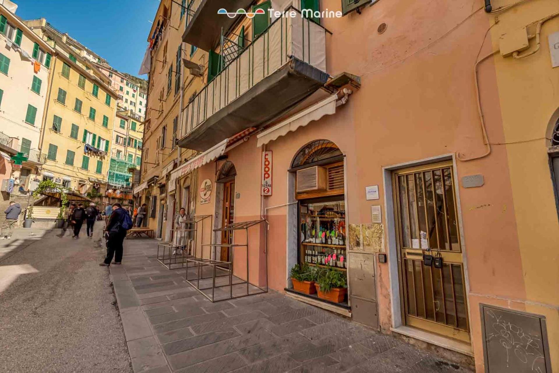 Ca Dei Ciua, Terre Marine Apartment Riomaggiore Exterior photo